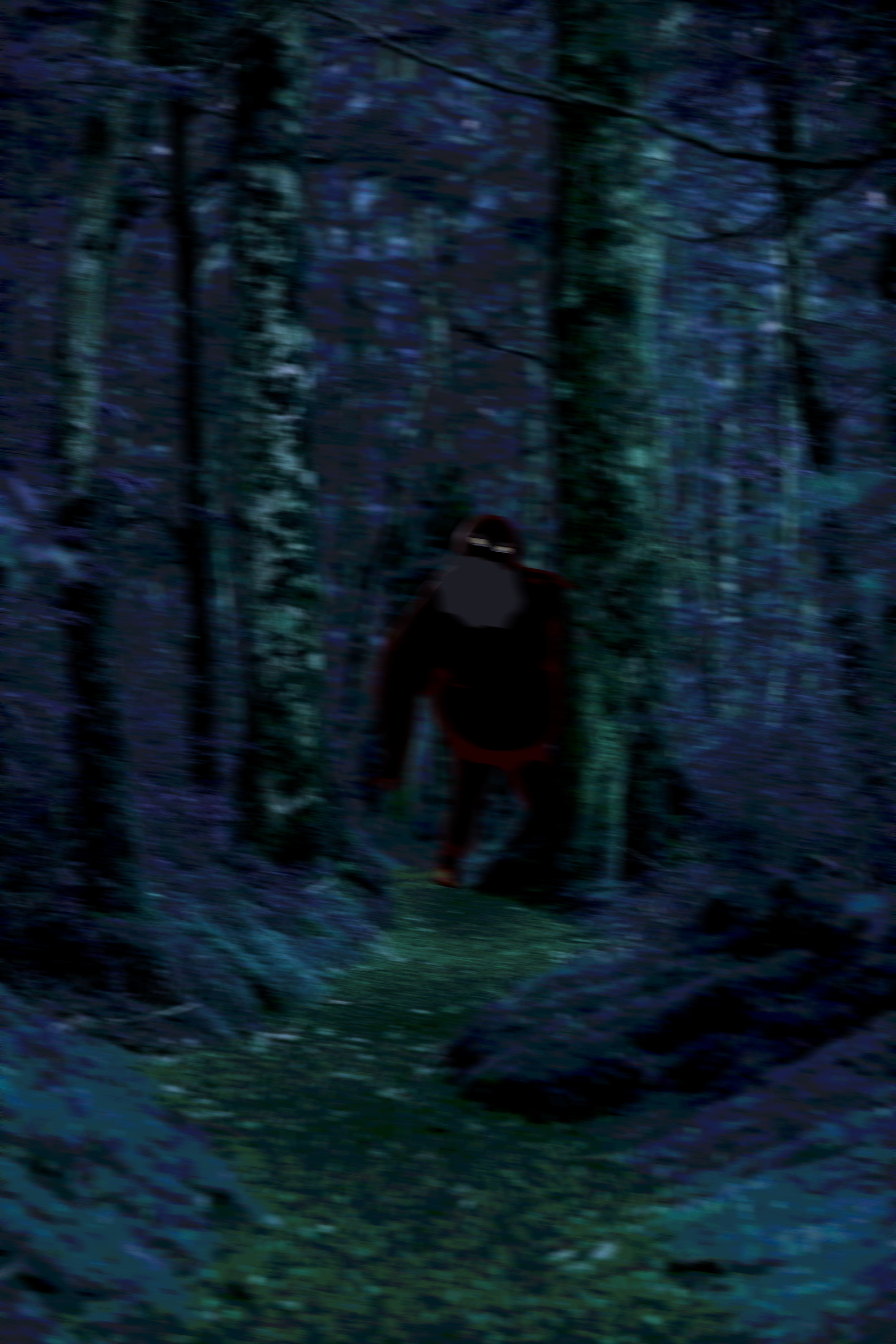 A blurry photograph taken in a dark forest. A large humanoid creature stands amongst the trees.
